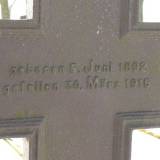 gansenstein04.jpg