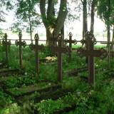 gansenstein01.jpg