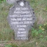 dabrowka04.jpg