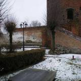imgp0207.jpg