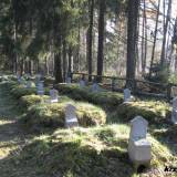 domajewo14.km3.jpg