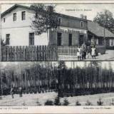 koschlau.jpg