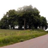 dubeninki01.jpg