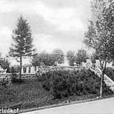 dubeninki-cm4.jpg