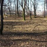 20180407_091556.jpg
