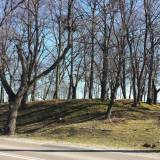 20180407_092821.jpg