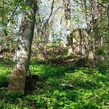 20160506_085839.jpg