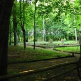 img_0017.jpg