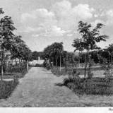 stadt-friedhof3.jpg