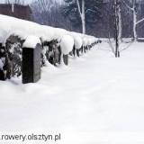 090_goldap.jpg