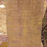 goldap008.jpg