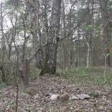gora01.jpg