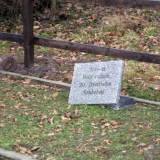 grajwo02.jpg