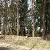 20180414_123741.jpg