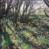 20180414_130448.jpg