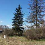 20180414_130634.jpg