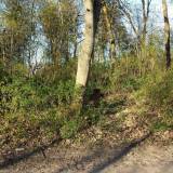20170501_180846.jpg
