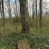 20170502_152241.jpg