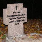 jagodne02.jpg