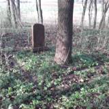katrinfelde01.jpg