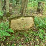 klewiny06.jpg