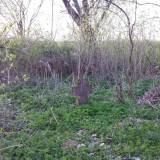 20170502_192810.jpg