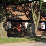 5159_klon_20080831.jpg