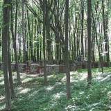 kosinowo1.jpg