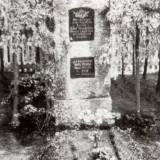 kotten01.jpg