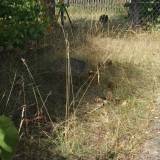dscf0570.jpg