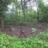 dscf1747.jpg