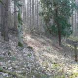 lipap01.jpg