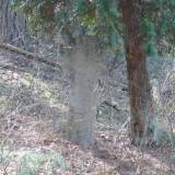 lipap02.jpg