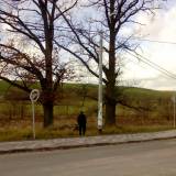 liski01.jpg