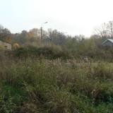 mieduniszkiw02.jpg