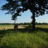 dsc00720.jpg