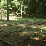 0401_modlki_20090624.jpg