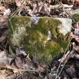 dscf7786.jpg