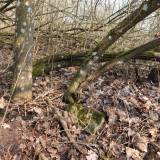dscf7787.jpg