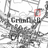 grunflies.png