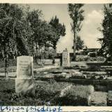 friedhof.jpg