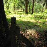img_0027.jpg