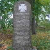 nowedrygaly02.jpg