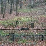 olecko-rosyjska01.jpg
