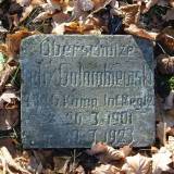 pb116157.jpg