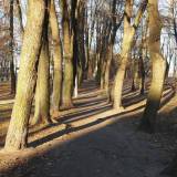 pb116290.jpg