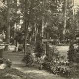 allenstein-cm01.jpg
