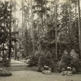 allenstein-cm02.jpg