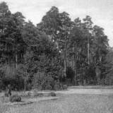 hohenstein05.jpg