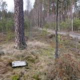 dscf6332.jpg
